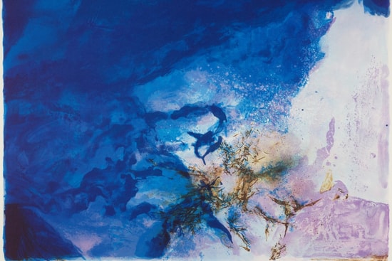 m特別展覽「趙無極：版藝匠心」