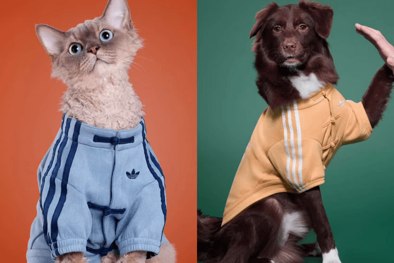Adidas Expands Pet Collection with Chinese New Year–Inspired Apparel