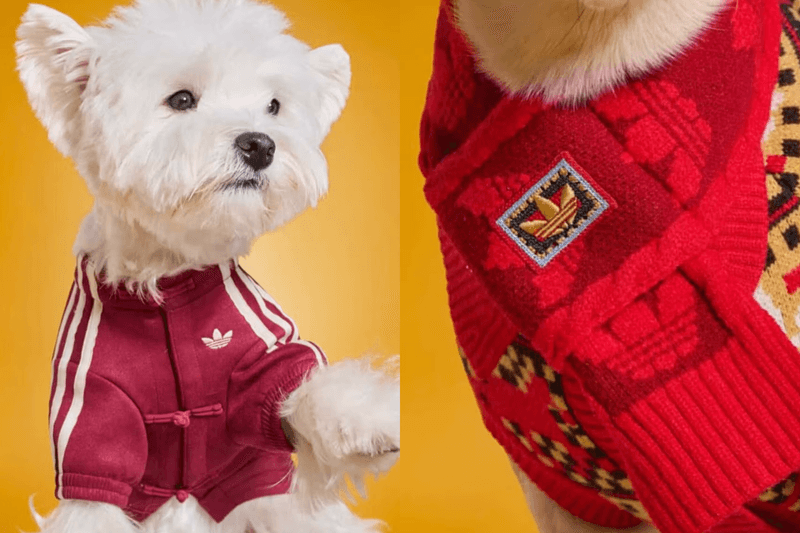 Adidas Expands Pet Collection with Chinese New Year–Inspired Apparel