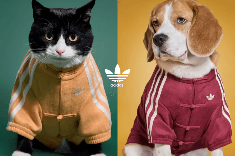 Adidas寵物新年運動服曝光引熱議