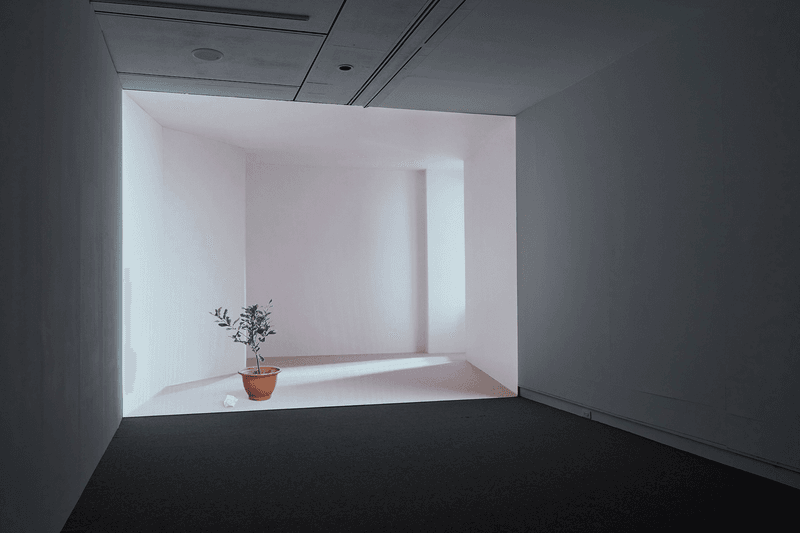 Ryuichi Sakamoto Exhibition to Open at Taipei Fine Arts Museum in October 2026