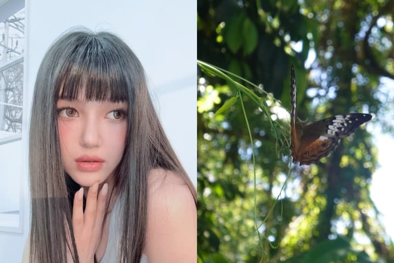 NewJeans Danielle 公開「未能傳遞的信」看完眼眶又紅了...