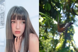 遲到了，但終究會送達：Danielle 公開「未能傳遞的信」看完眼眶又紅了...