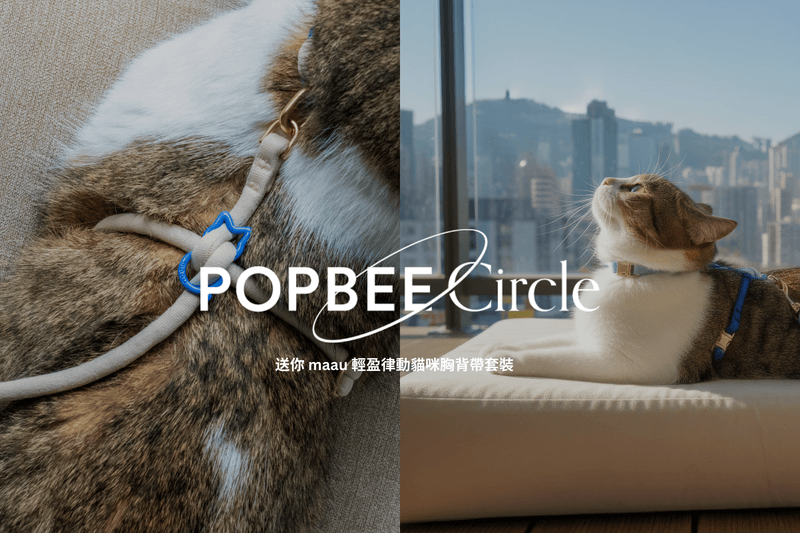 POPBEE Circle 會員福利：解放主子束縛！送你 maau 輕盈律動貓咪胸背帶套裝