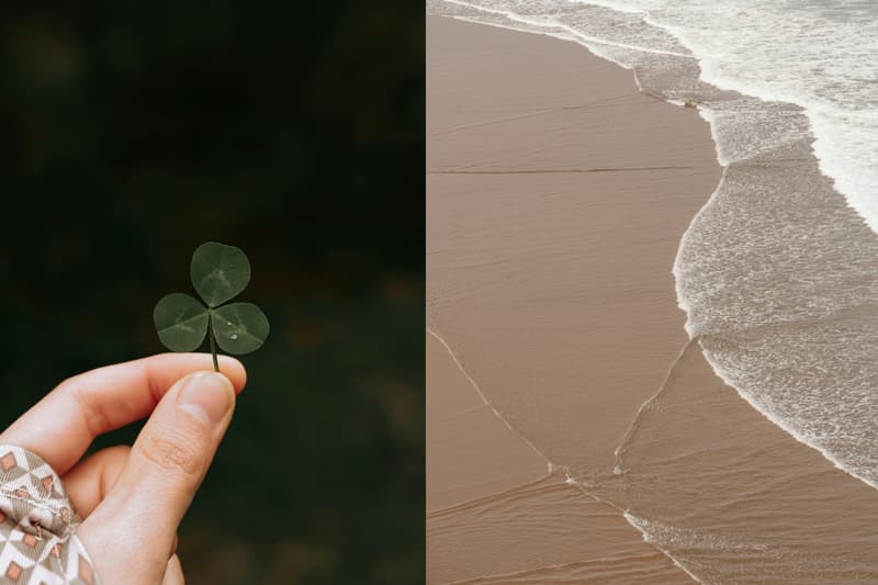 心理成長：為什麼接受自己「平庸」，是人生最大的解脫與和解？