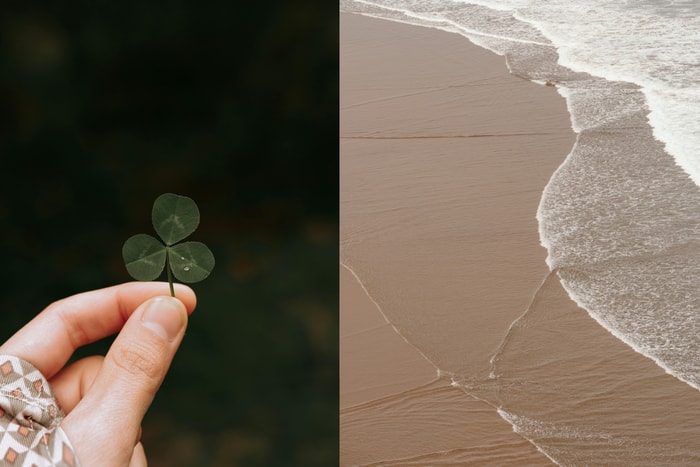 成長的功課是發現自己只是個普通人:但這場認輸,或許才是快樂的開始