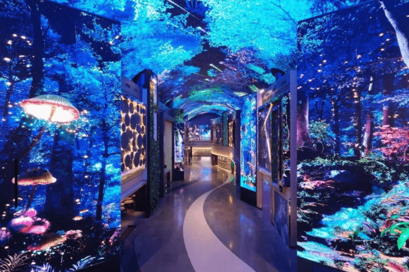 《單身即地獄5》天堂島在哪？五星級飯店、沉浸式數位藝術、水上樂園…這座度假村必收進韓國旅行清單！