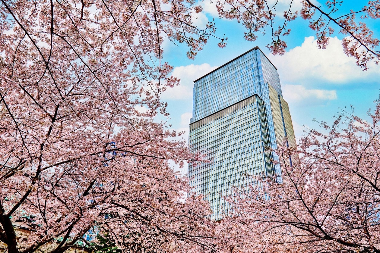 2026 日本賞櫻酒店推薦：東京文華東方、TRUNK(HOTEL) YOYOGI PARK、Shishi-Iwa House 行程亮點