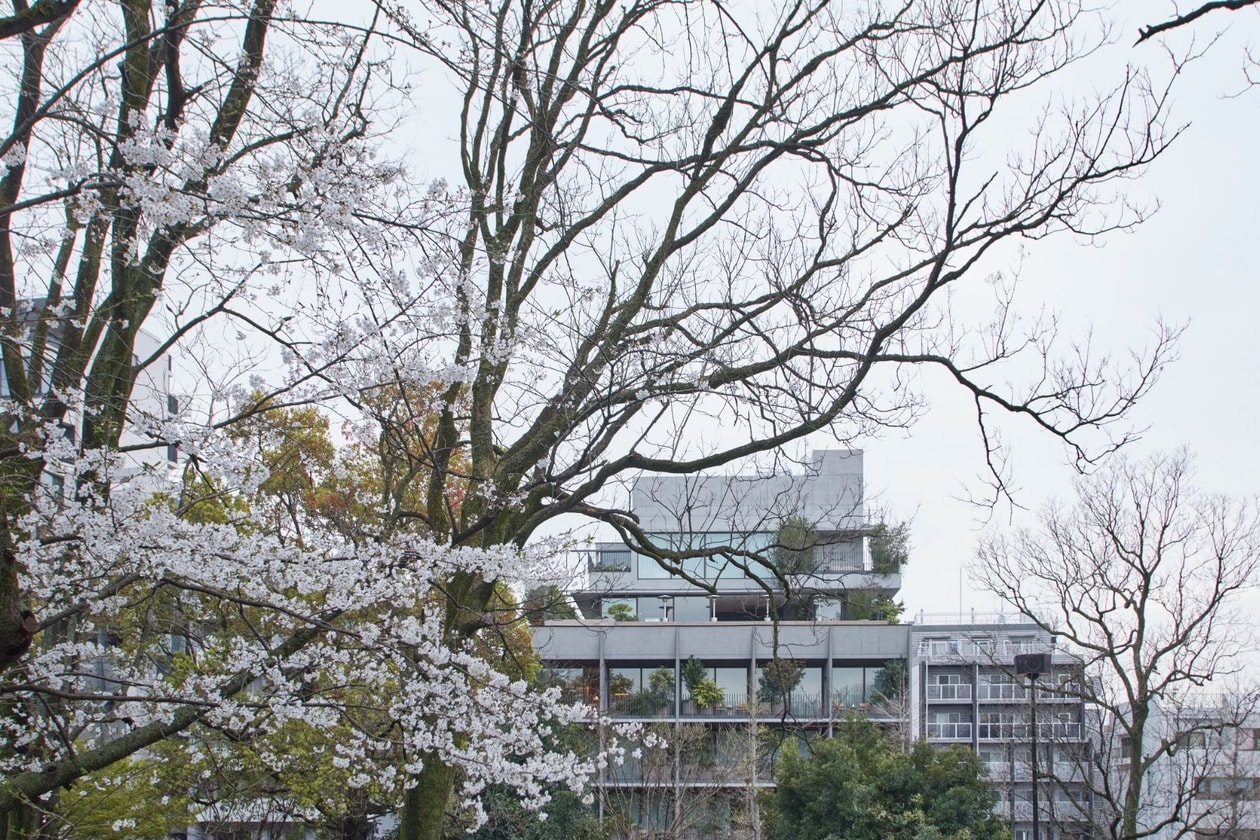 2026 日本賞櫻酒店推薦：東京文華東方、TRUNK(HOTEL) YOYOGI PARK、Shishi-Iwa House 行程亮點