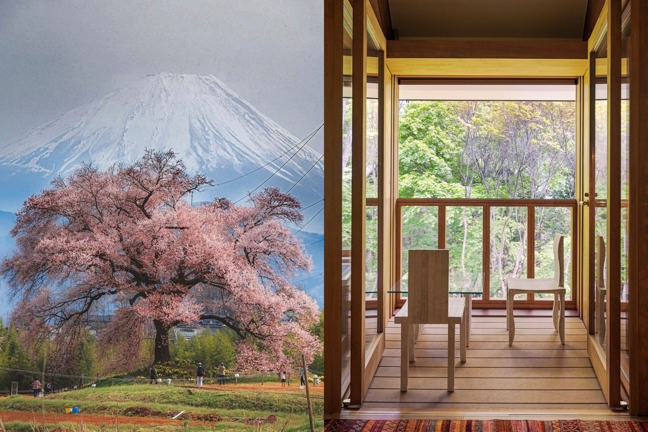 2026 日本賞櫻酒店推薦：東京文華東方、TRUNK(HOTEL) YOYOGI PARK、Shishi-Iwa House 行程亮點