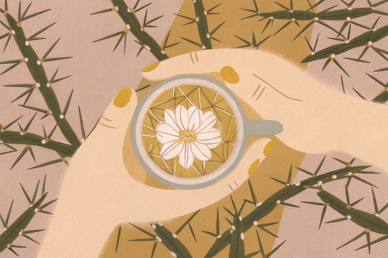 人生最大的勇敢：經歷殘酷仍溫柔以待，為什麼善良是一個選擇？