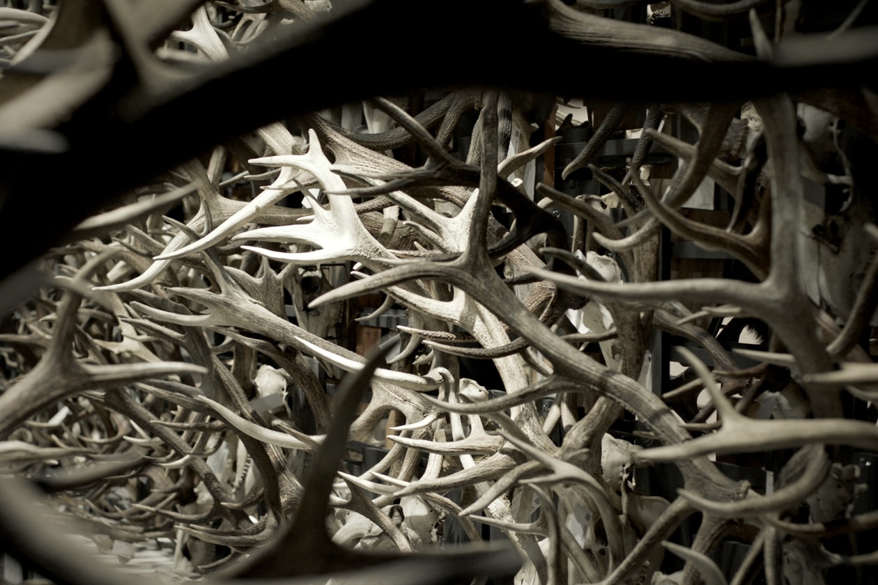 坂本龍一 M+ 展覽 2026：大型裝置 async–immersion、音樂電影及黑膠分享會全攻略