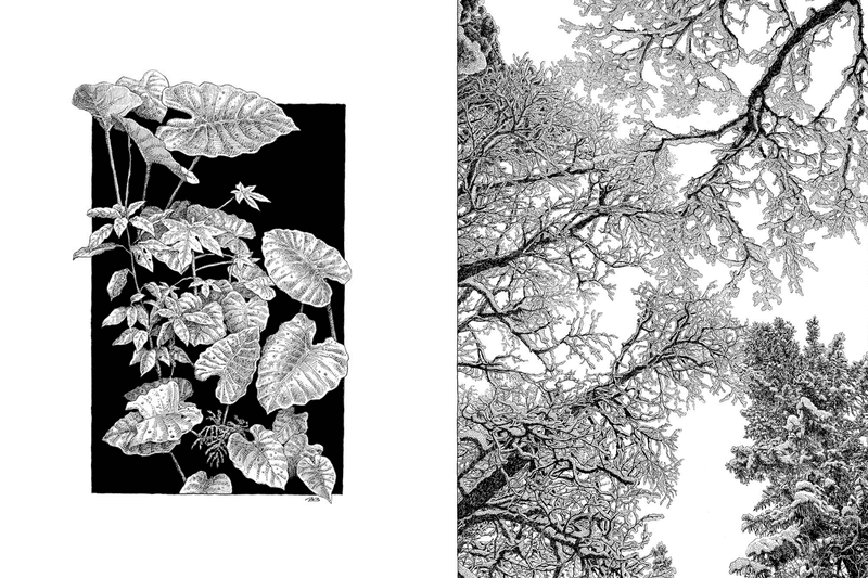 POPBEE Circle 會員福利：入手第一件原創藝術，解鎖 Affordable Art Fair  85 折優惠門票