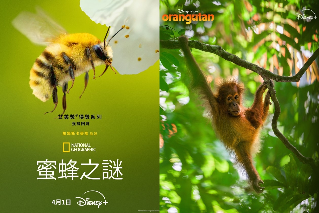 Disney+ 4月片單推薦2026：IU、邊佑錫韓劇《21世紀大君夫人》、朴寶英《賭金》必看