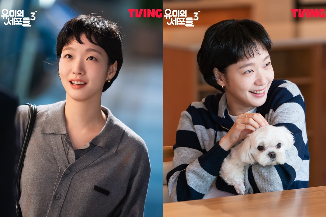 柔美的細胞小將 3 劇情預告：金高銀、金載原主演，4月播出時間與申馴鹿角色介紹