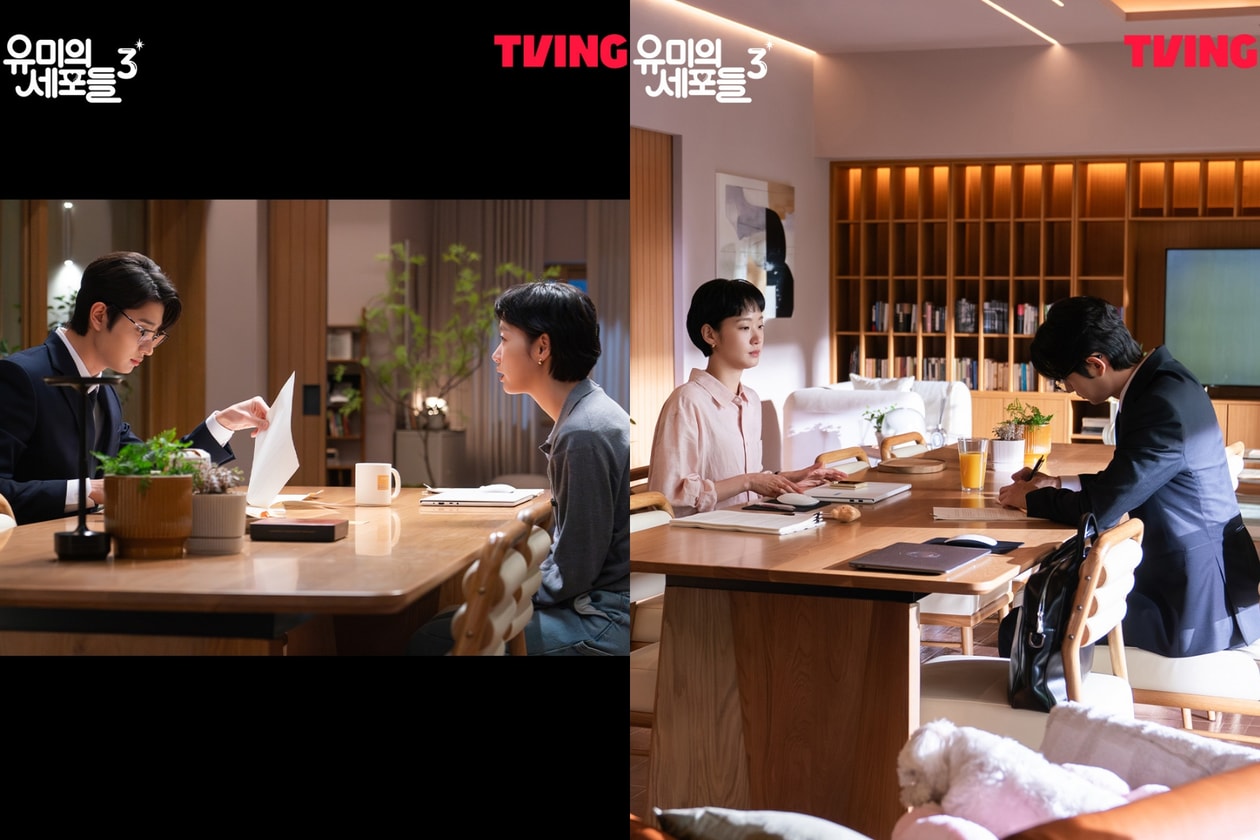 柔美的細胞小將 3 劇情預告：金高銀、金載原主演，4月播出時間與申馴鹿角色介紹