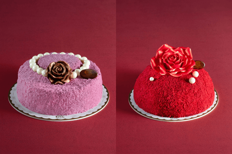 POPBEE Circle 會員福利：給最親愛的她，送你 COVA 母親節限定蛋糕 💐