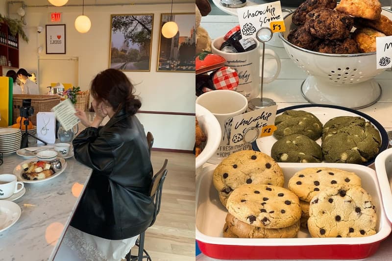 多酚食物推薦2026：7款高抗氧化、抗炎食物名單大公開 