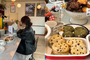 越吃越年輕的保養秘密：7 款「多酚食物」推薦，抗老抗炎必吃！