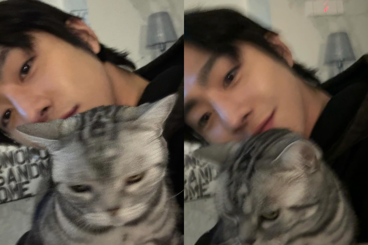 2026韓國明星貓咪盤點：孔劉、安宰賢、G-Dragon愛貓大公開