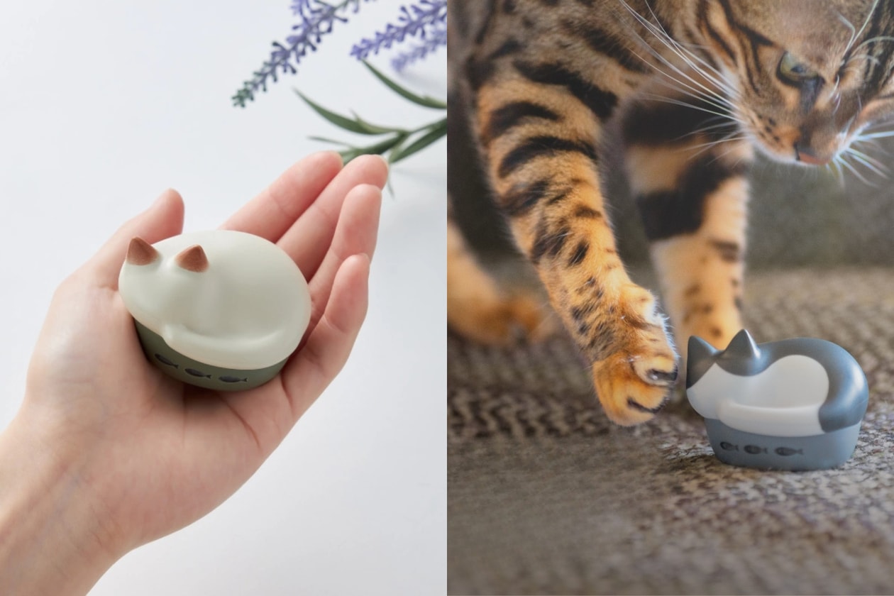 Radius NEKO 貓咪藍牙耳機 HP-C28BT 開箱評價：價錢、顏色、貓叫提示音全整理隨身攜帶一隻愛撒嬌的貓