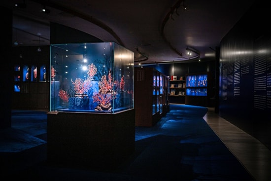 lecole-coral-exhitbition-in-k11-musea