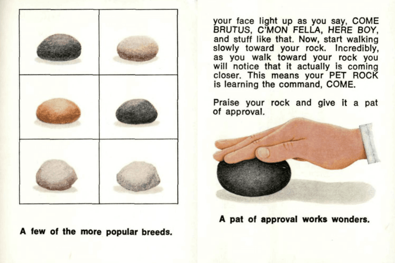 一顆石頭賣出 150 萬顆？Pet Rock 如何成為商業史上最成功的行銷案例