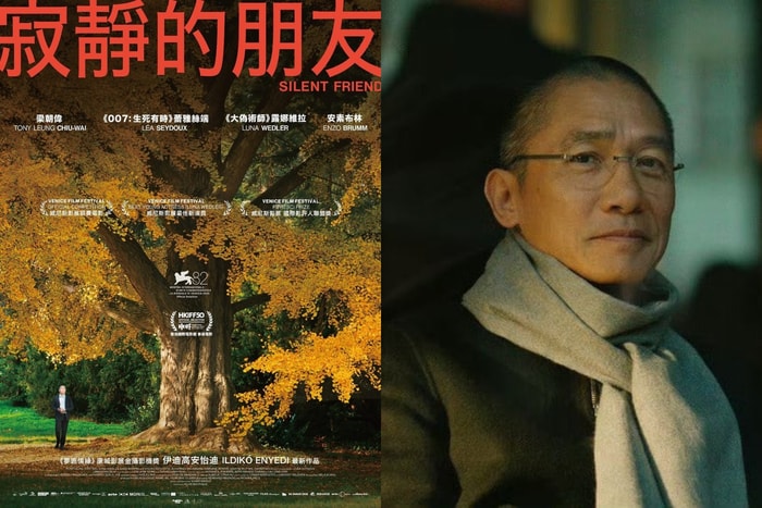 植物比人類更懂生活：梁朝偉新片《寂靜的朋友》帶我們看見，生命的另一種深層智慧
