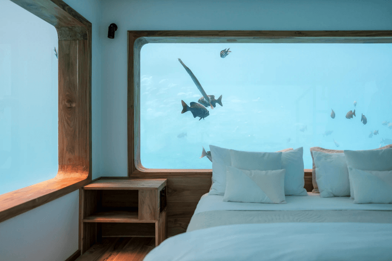 比海景房更夢幻！The Manta Resort 水下套房讓海洋成為你的臥室