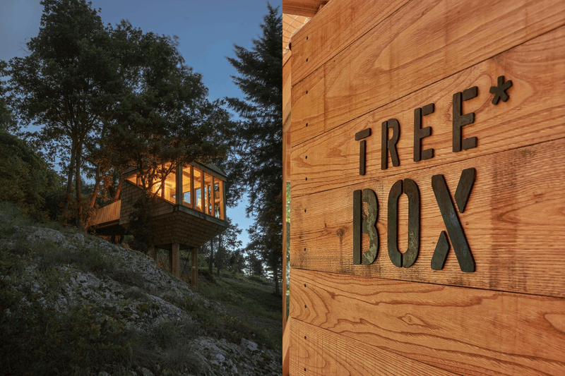 屋頂一路長到樹梢，義大利 TreeBOX 把傳統乾草棚變成山林樹屋