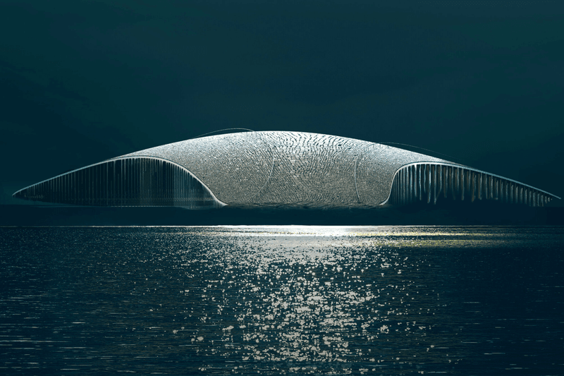 像鯨魚浮出北極海岸！挪威 The Whale 鯨魚博物館，2027 年正式登場