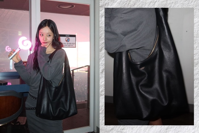 這款被惠利愛上的 Coach 包包，會是下一款洗版「It Bag」嗎？