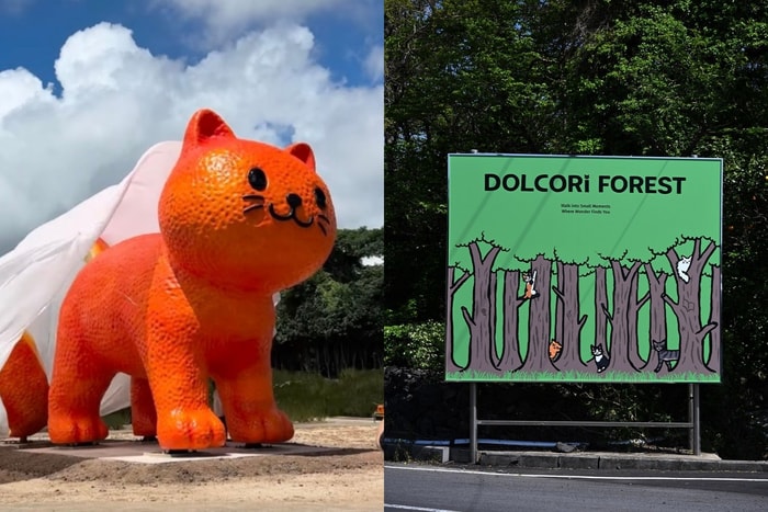 貓奴請快收進口袋名單！濟州島「Dolcori Forest」主題樂園，直接被 16 米巨型「橘貓」療癒！