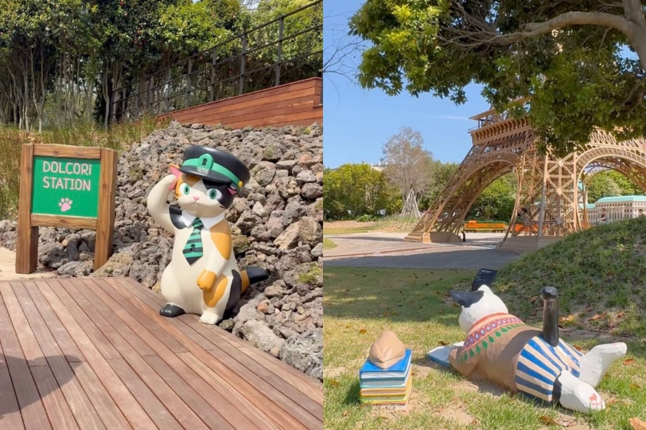 濟州島 Dolcori Forest 貓咪主題樂園開幕：16米巨型橘貓、交通與 Cafe 指南
