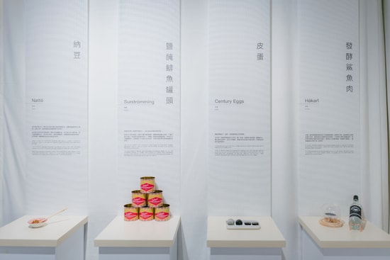 digusting-food-museum
