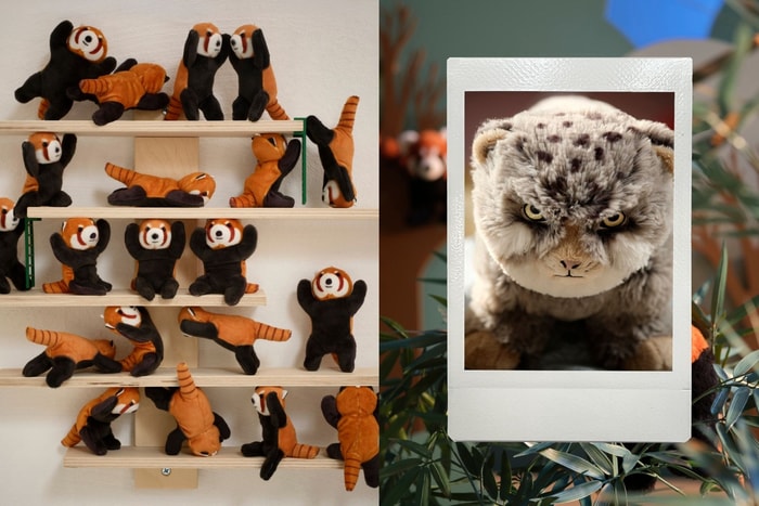 超萌「厭世貓」與小貓熊登場！IKEA ALPTALL 系列把喜馬拉雅山瀕危動物搬進家
