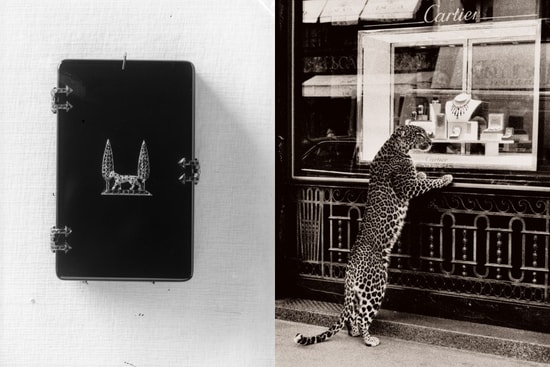 cartier-into-the-wild