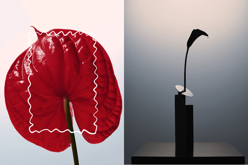 一朵花就美得像藝術品：REdDUO 推出極簡花器 STEM VASE，讓居家角落瞬間充滿設計感！