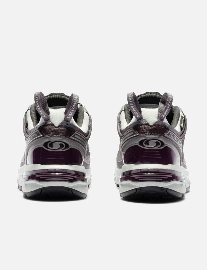 Salomon Advanced Acs Pro Gtx In Multi