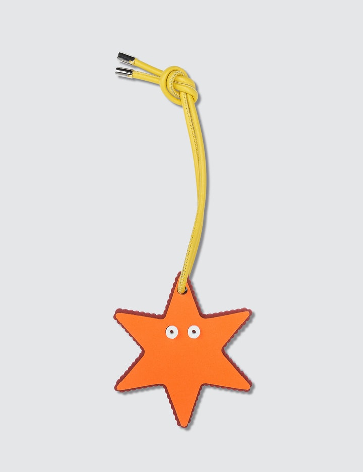 Paula Water Star Charm Placeholder Image