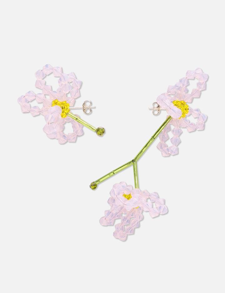 Aster Chinensis Earrings Placeholder Image