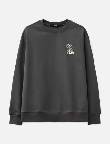 LMC Telescope Bear Sweatshirt