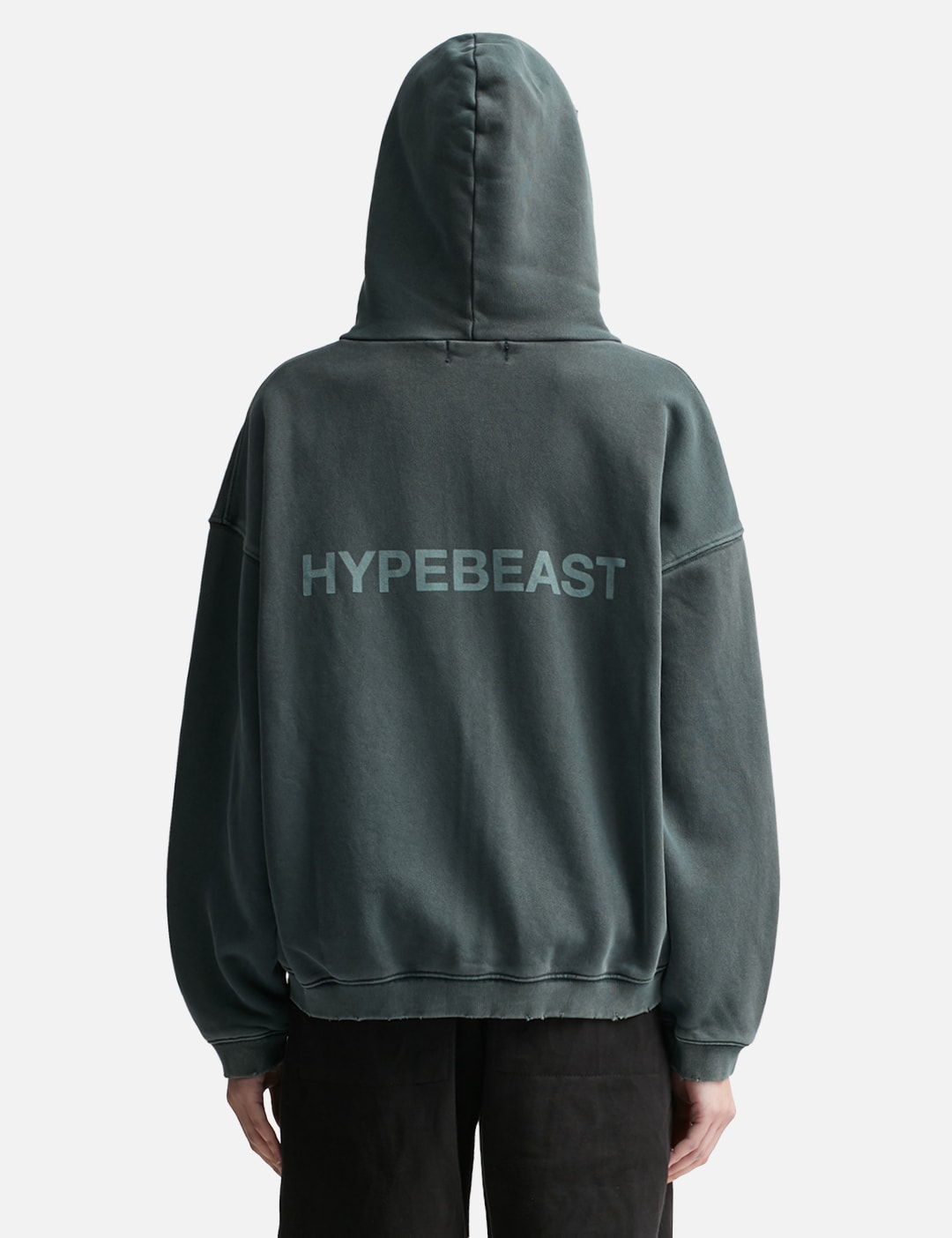 GARMENT DYED LOGO ZIP-UP HOODIE view 10