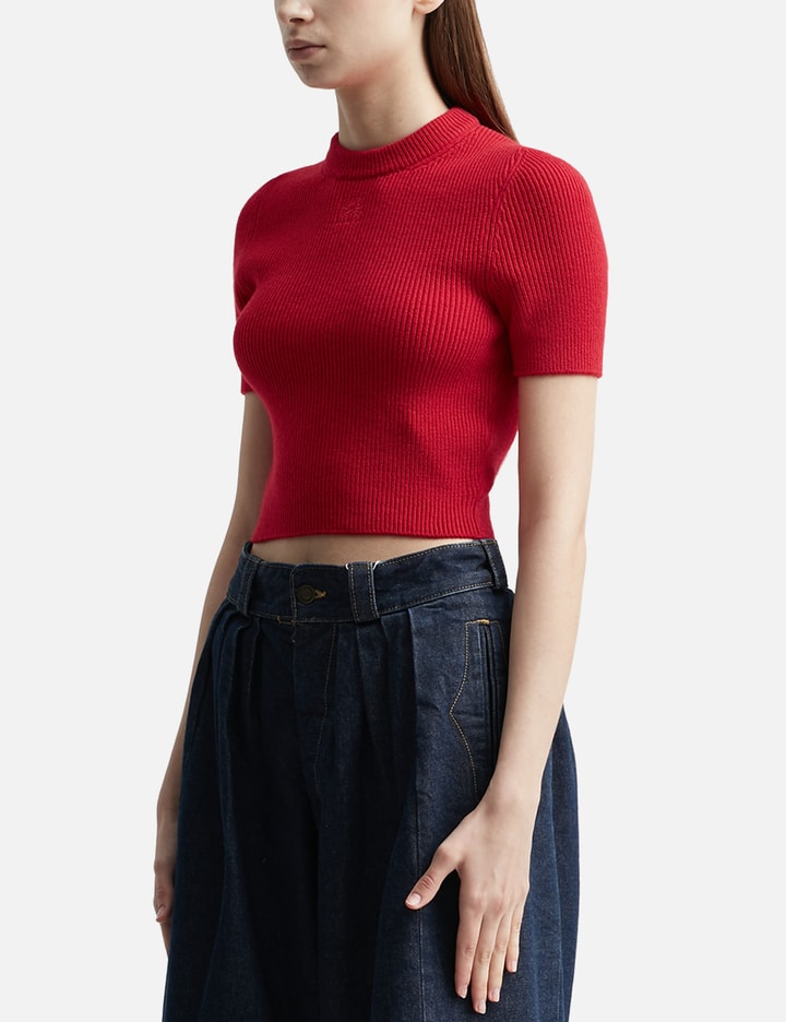 CROPPED SWEATER Placeholder Image