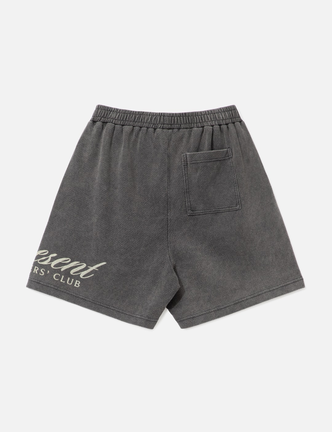 Owners Club Script Mesh Shorts view 9