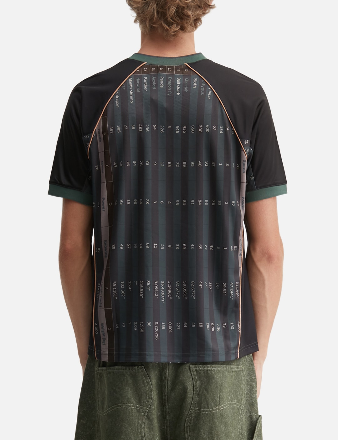 Q4 Jersey view 19
