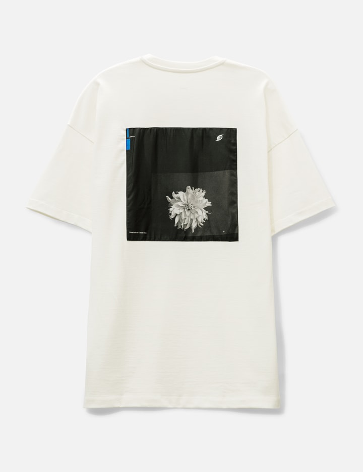 Chrysantheme T-shirt Placeholder Image