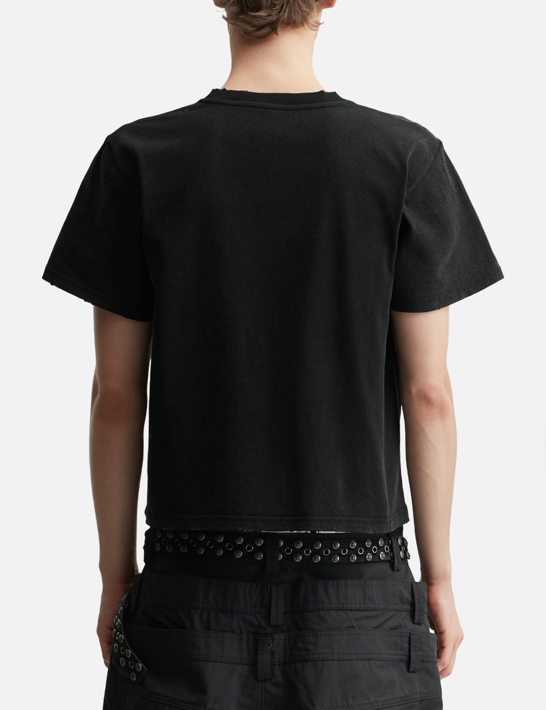 Orius Shrunken Tee - TWF LOGO With Wings view 19