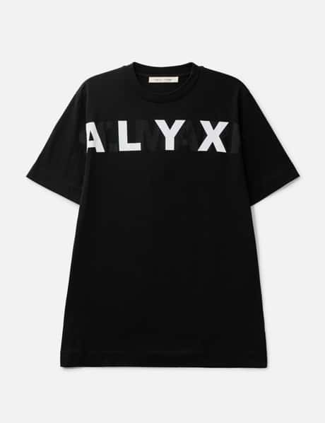 Alyx view 17