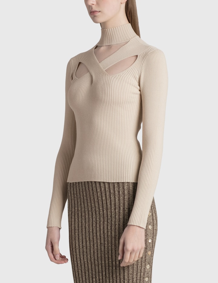 Charlee Wool Turtleneck Placeholder Image